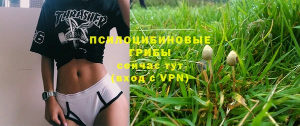 дмт Кукмор