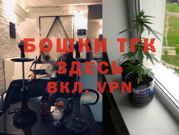 прущие грибы Ладушкин
