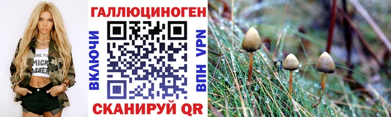 цена Циолковский Галлюциногенные грибы GOLDEN TEACHER