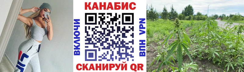 купить закладку  дарк нет официальный сайт  Каннабис Bruce Banner  Циолковский 